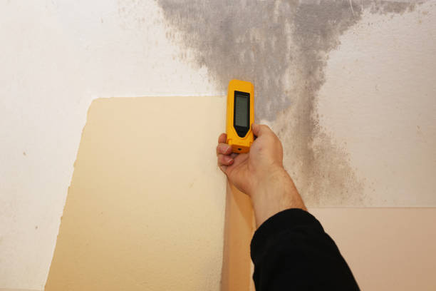 Best HVAC Mold Inspection and Cleaning  in Grosse Pointe Woods, MI