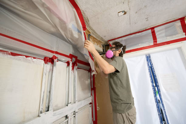 Best Indoor Air Quality Assessment  in Grosse Pointe Woods, MI