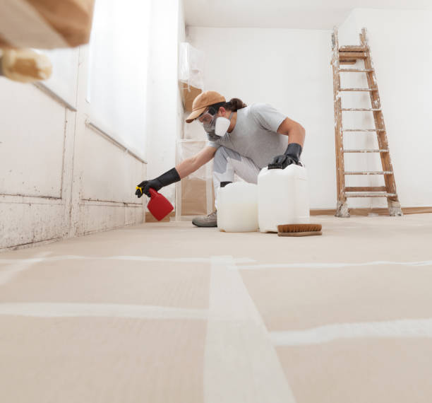 Dehumidification Services in Grosse Pointe Woods, MI